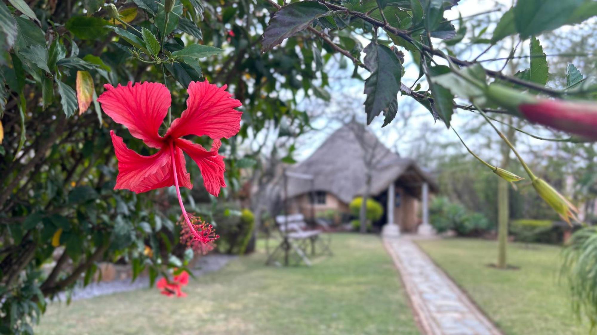 Lynns Guest House Bulawayo Luaran gambar