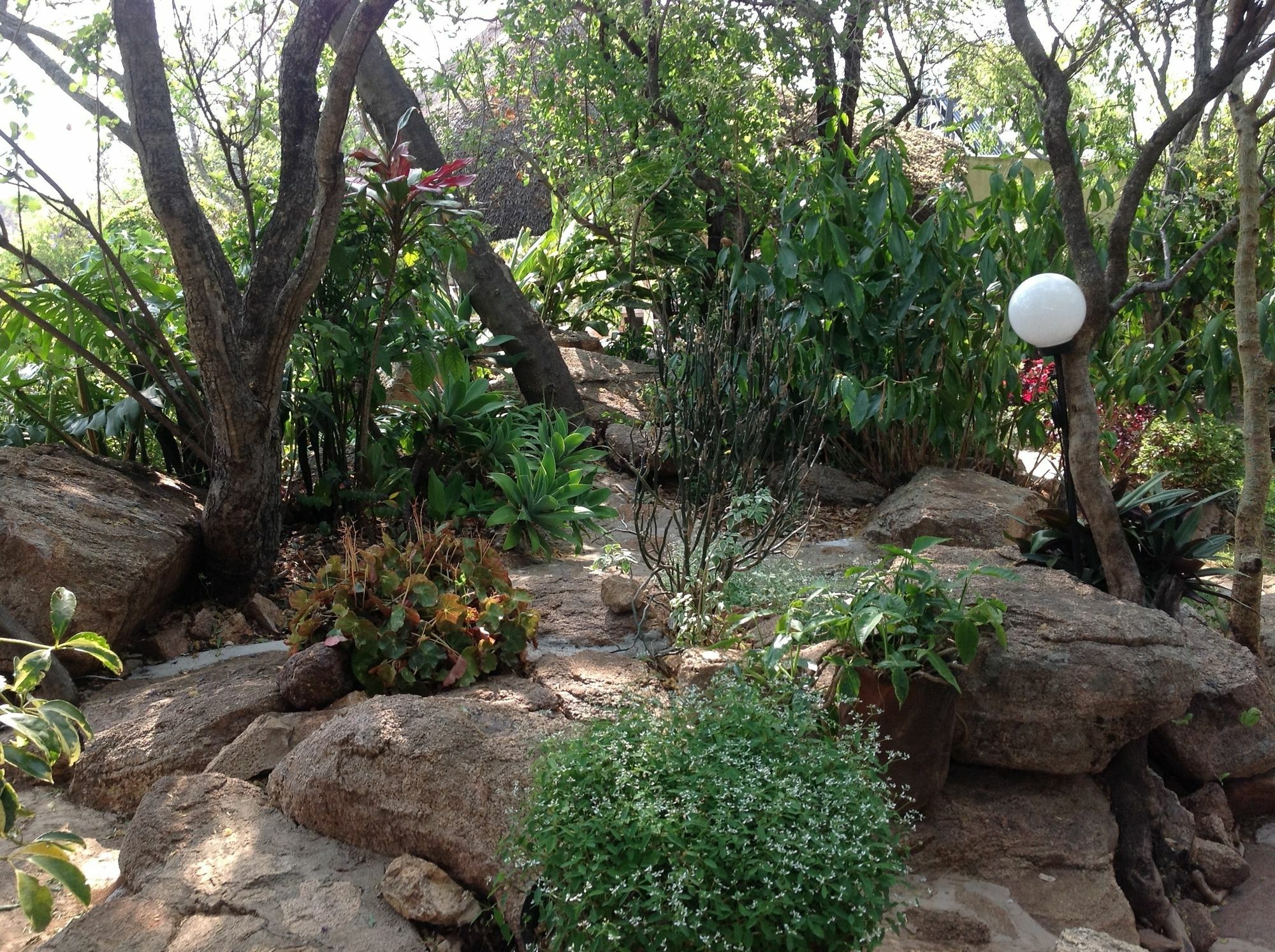 Lynns Guest House Bulawayo Luaran gambar